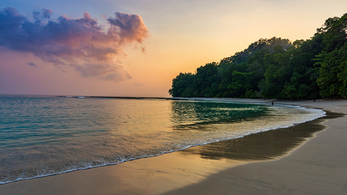 10 Resorts In Andaman And Nicobar Islands To Explore